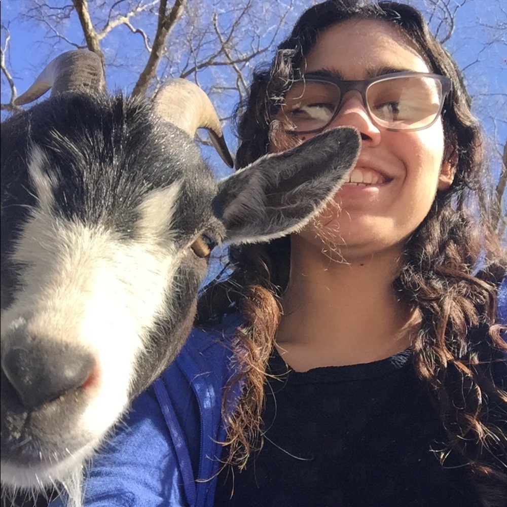 Meet your Posher, Isabelle